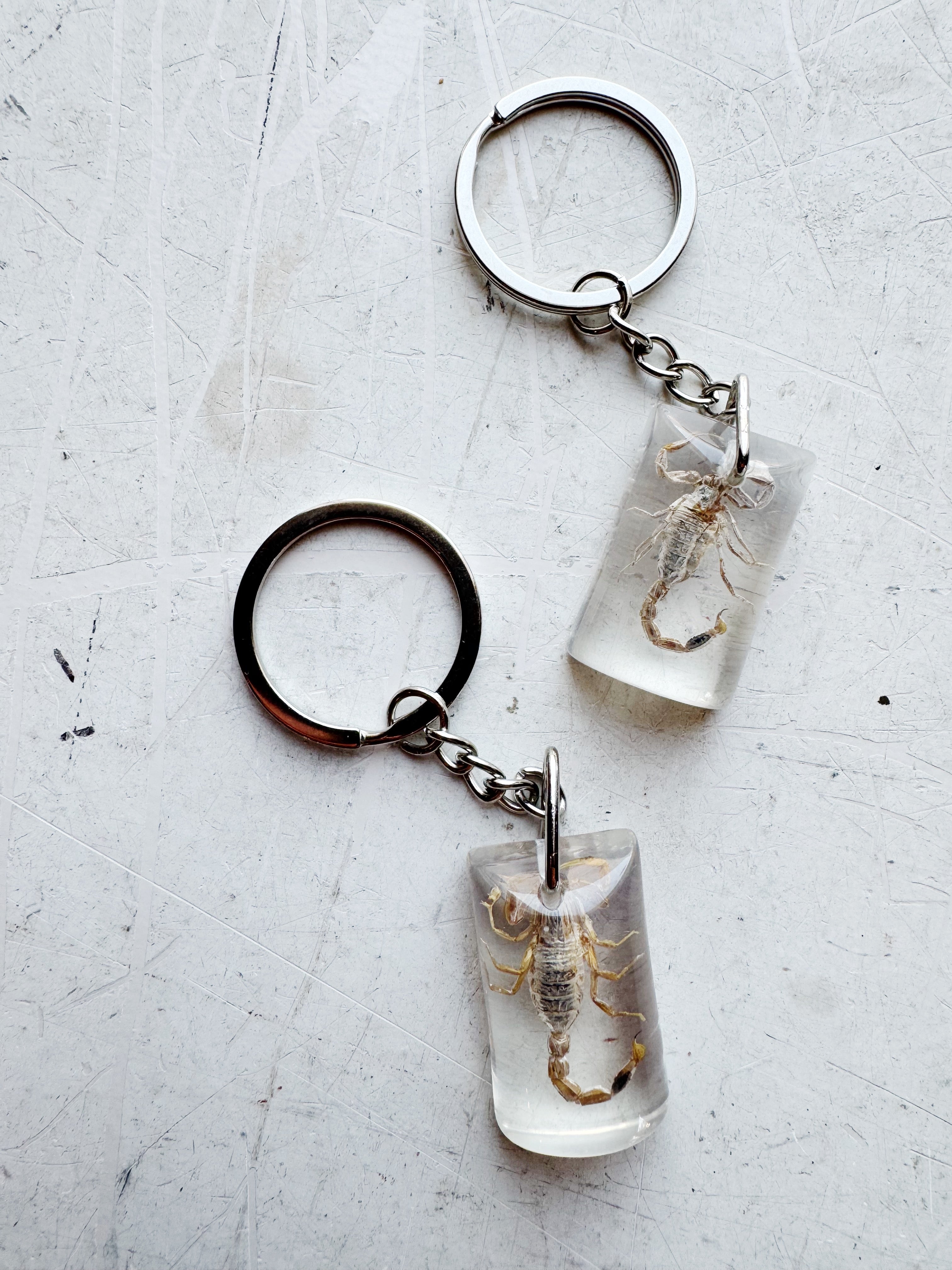 Clear Resin Scorpion Keychain, CA4