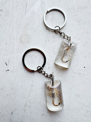 Clear Resin Scorpion Keychain, CA4