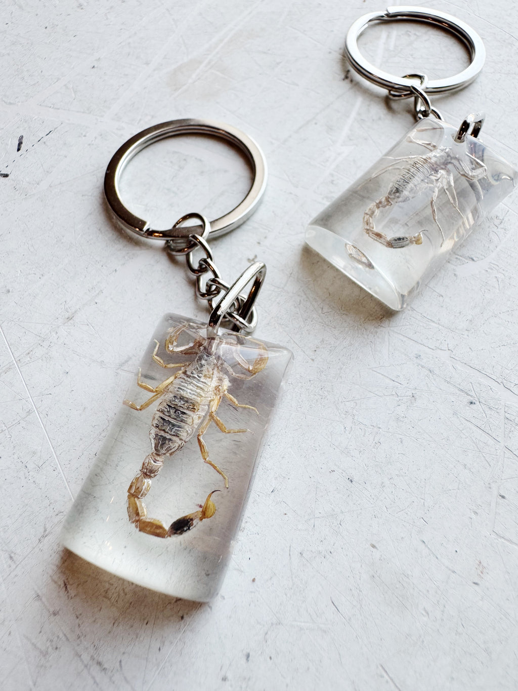 Clear Resin Scorpion Keychain, CA4