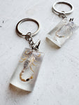 Clear Resin Scorpion Keychain, CA4