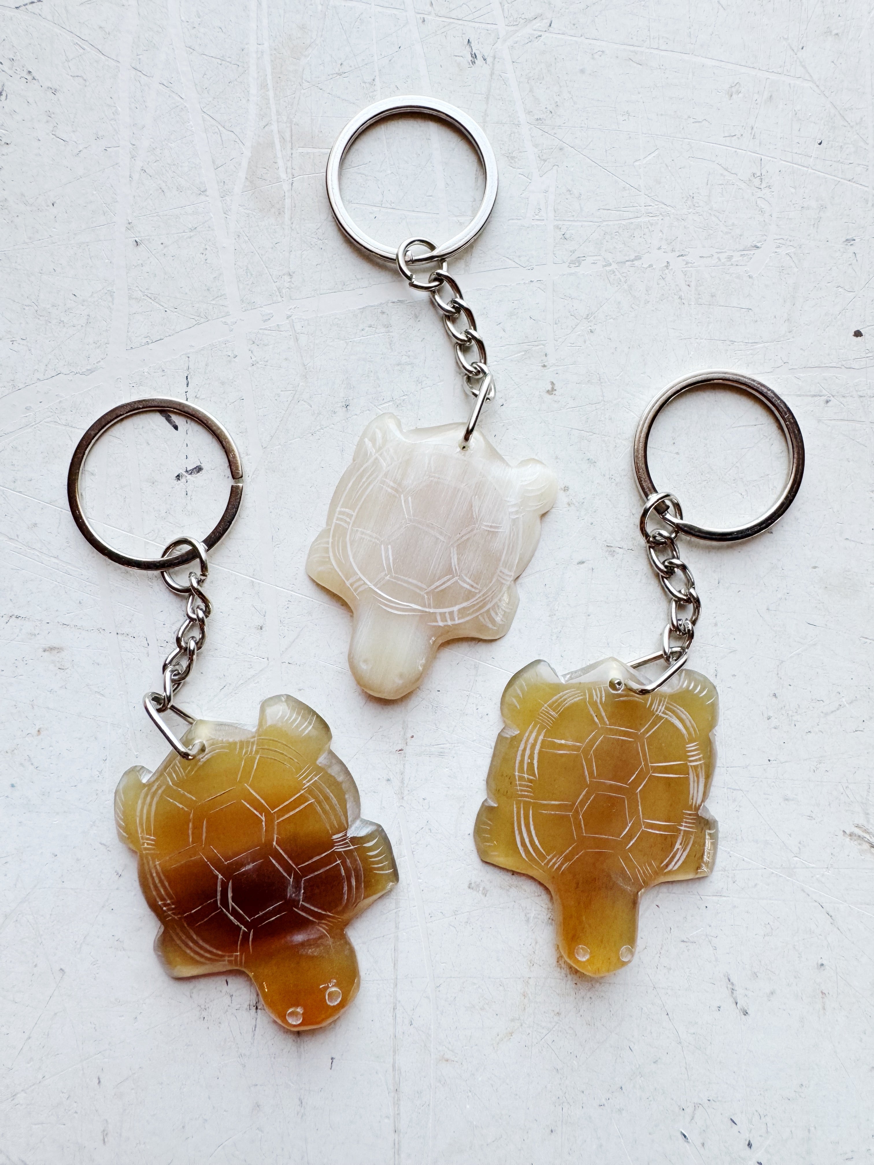 Water Buffalo Horn Turtle Keychain, HD16