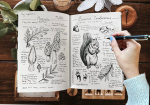 October 26th Scientific Journaling & Drawing Class, CE30