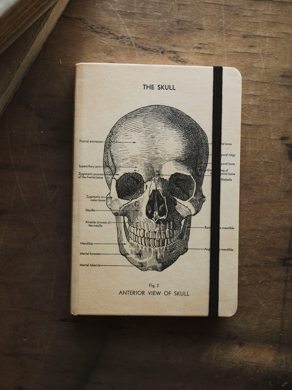 Lined Paper and Elastic Skull Notebook, ST0109