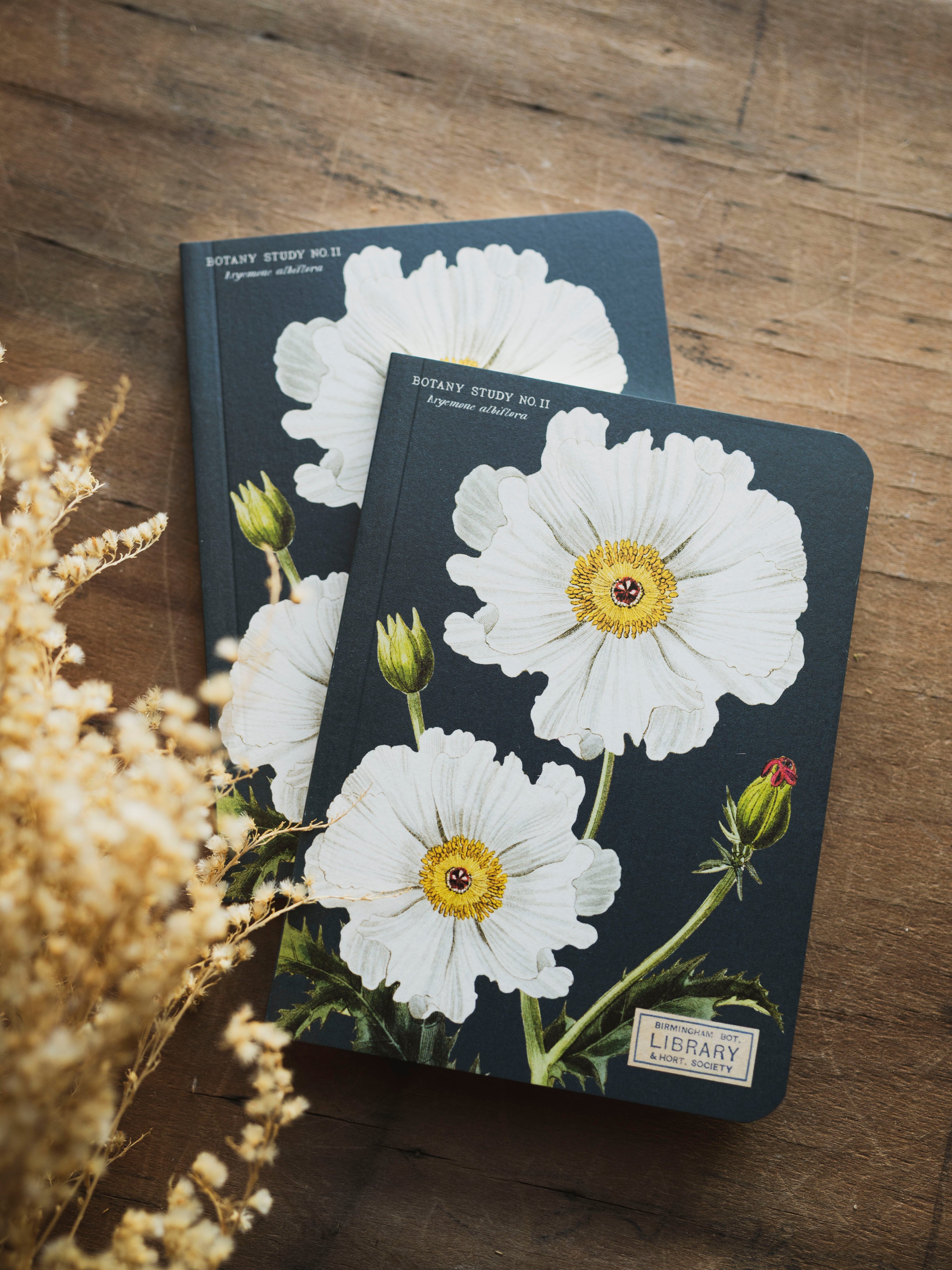 Blank Paper Mini Botany Notebook, ST088