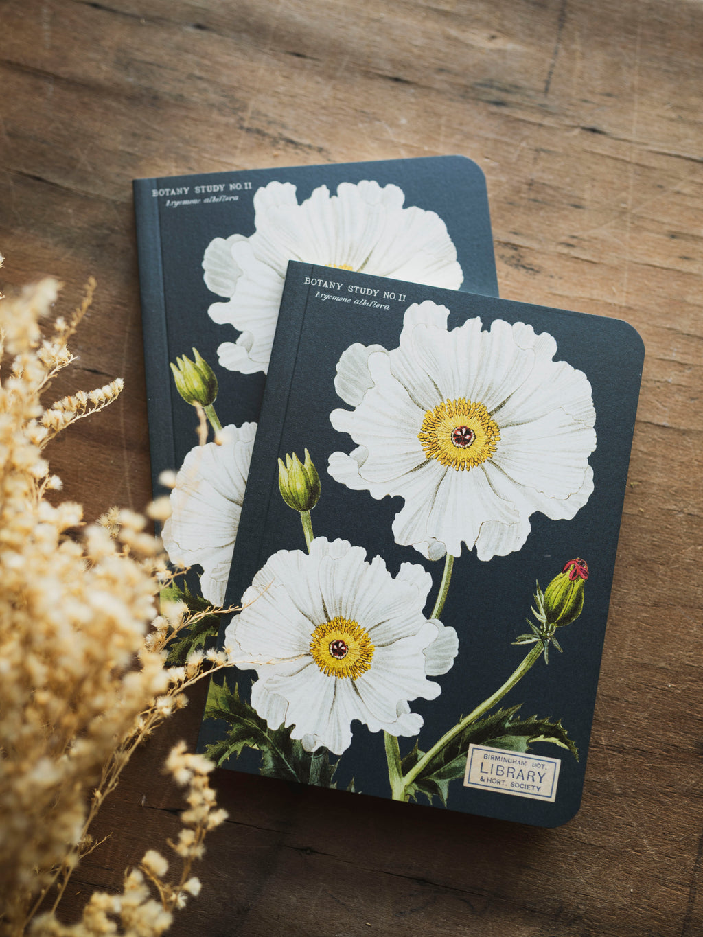 Blank Paper Mini Botany Notebook, ST088