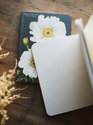 Blank Paper Mini Botany Notebook, ST088