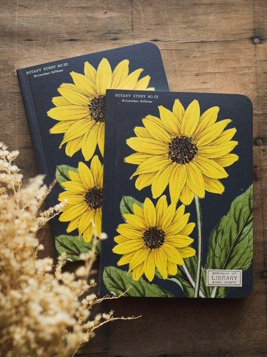 Graph Paper Mini Botany Notebook, ST089 – Black Moth
