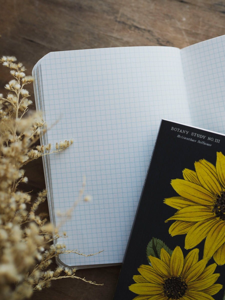 Graph Paper Mini Botany Notebook, ST089 – Black Moth