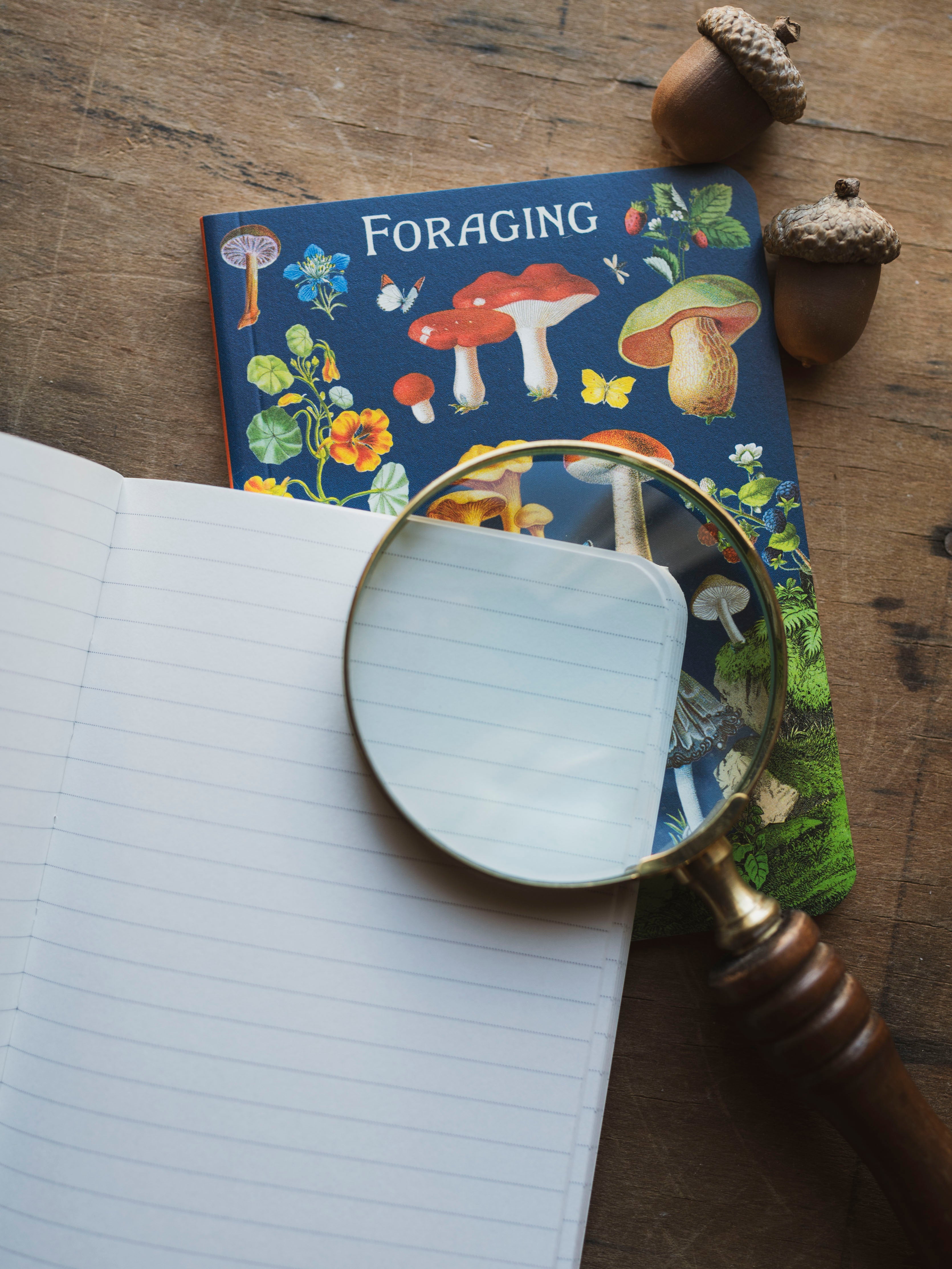 Lined Paper Mini Foraging Notebook, ST093