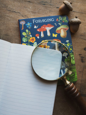 Lined Paper Mini Foraging Notebook, ST093