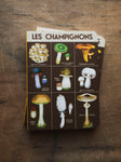 Blank Paper Mini Foraging Notebook, ST096