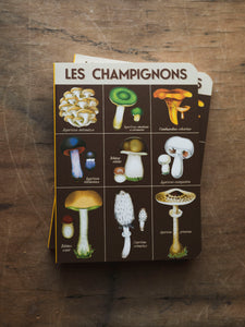 Blank Paper Mini Foraging Notebook, ST096