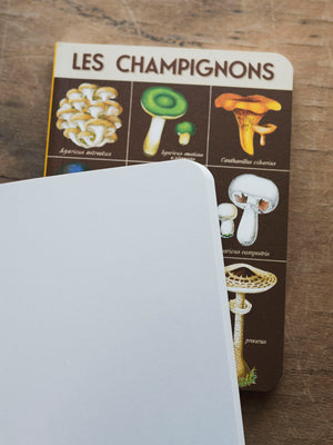 Blank Paper Mini Foraging Notebook, ST096