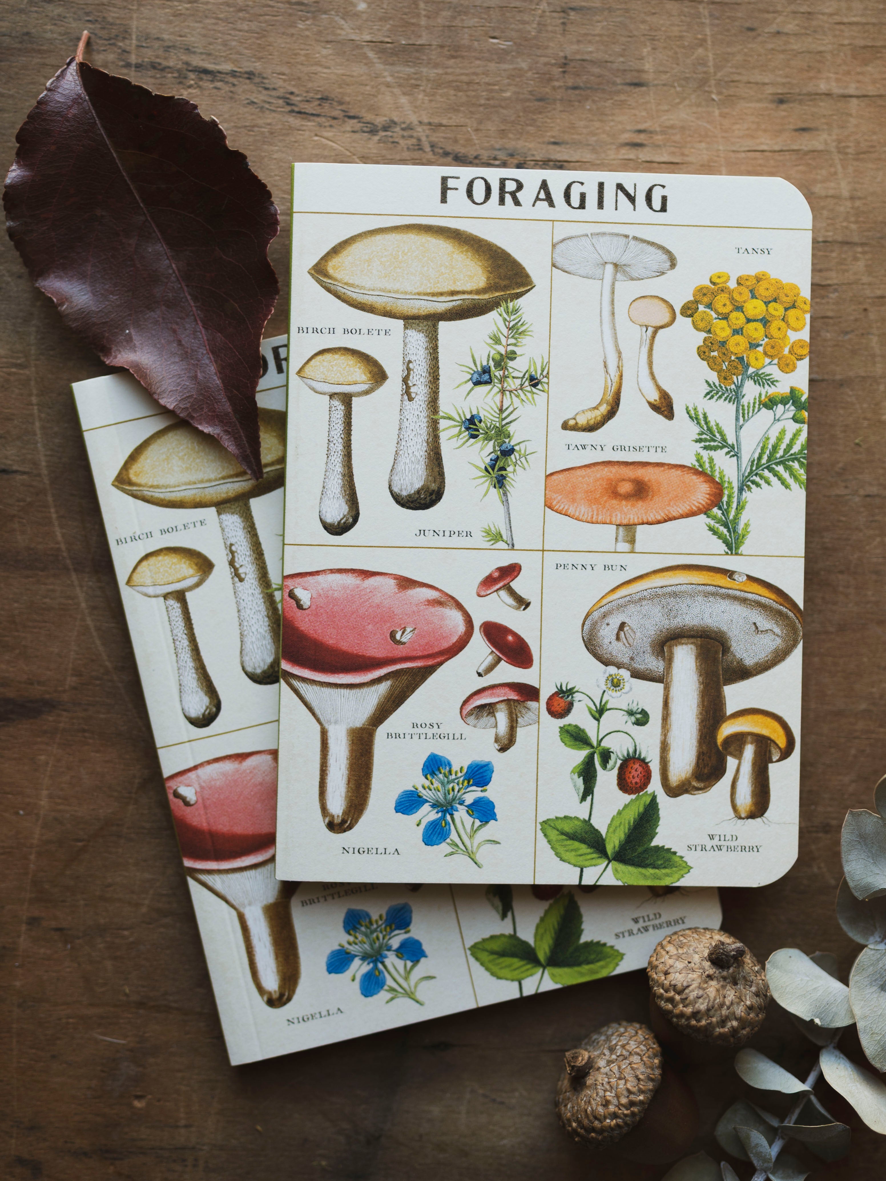 Graph Paper Mini Foraging Notebook, ST092