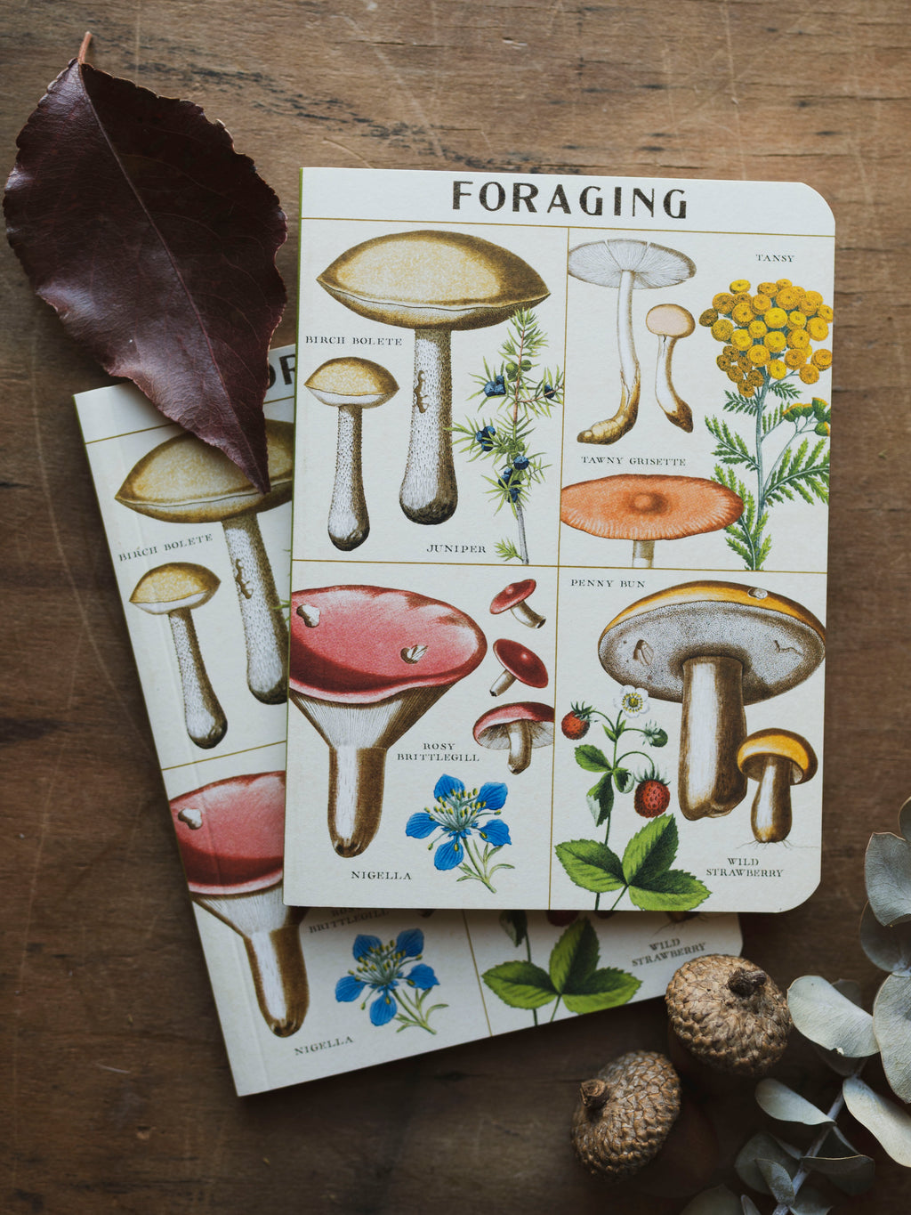 Graph Paper Mini Foraging Notebook, ST092