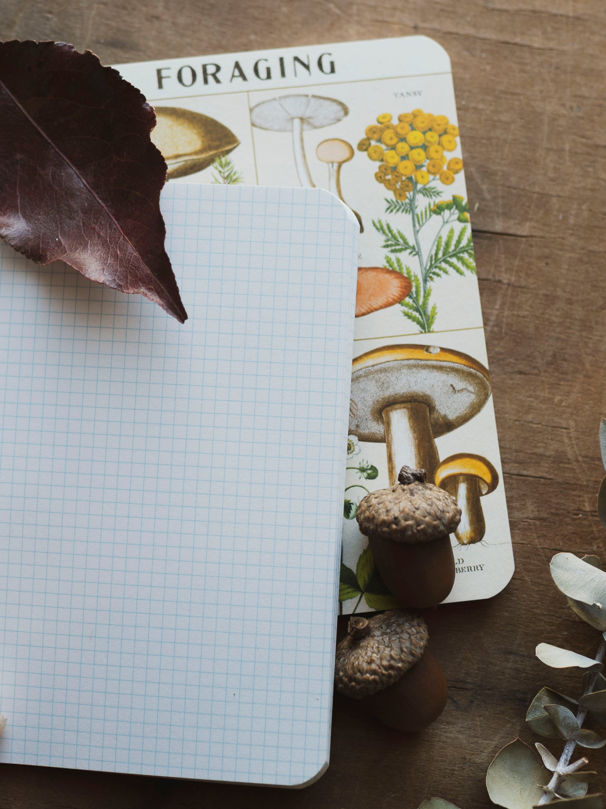 Graph Paper Mini Foraging Notebook, ST092