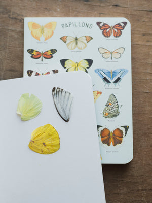 Blank Paper Mini Papillons Notebook, ST0100
