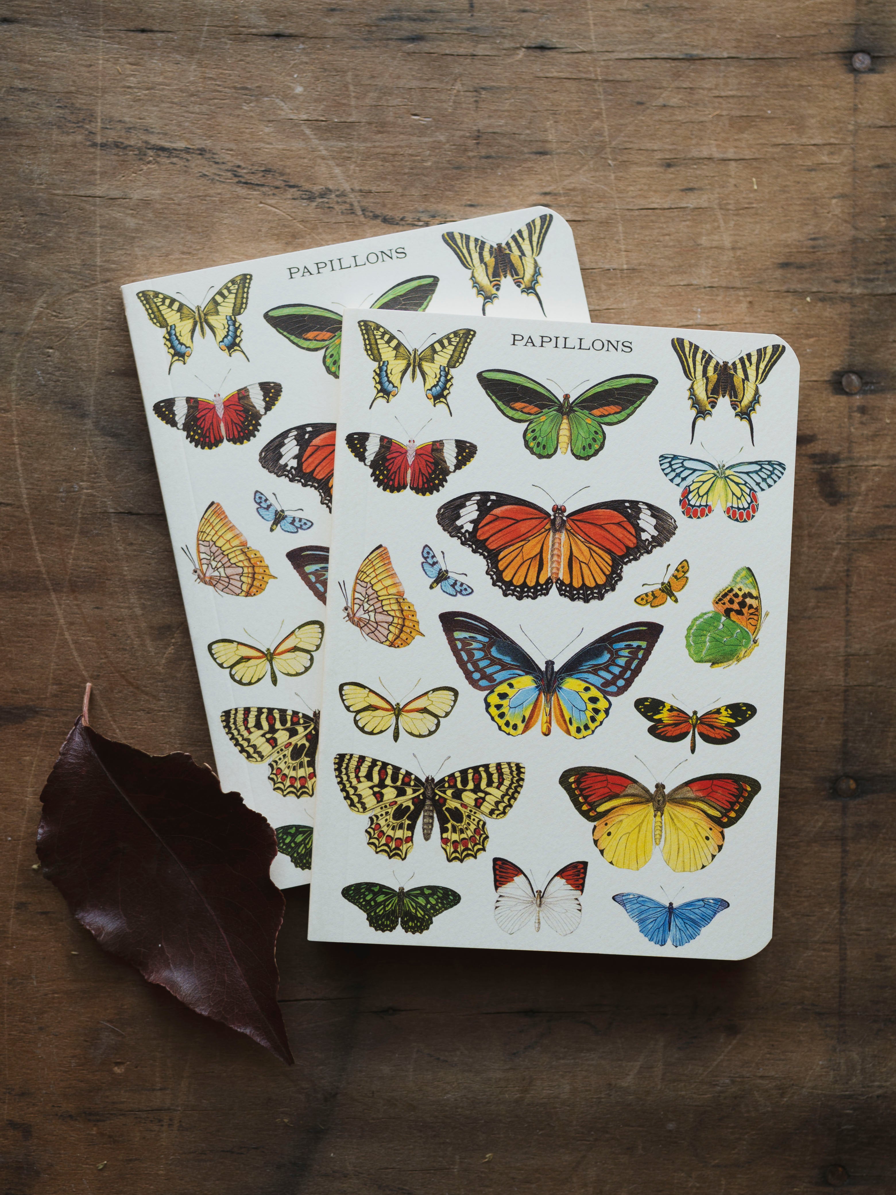 Graph Paper Mini Papillons Notebook, ST0101