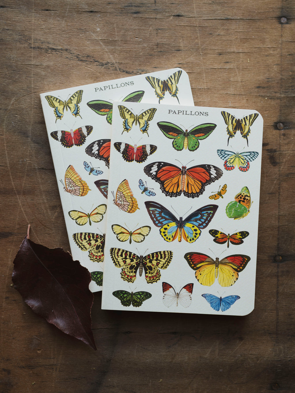 Graph Paper Mini Papillons Notebook, ST0101