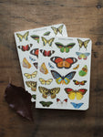 Graph Paper Mini Papillons Notebook, ST0101