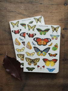 Graph Paper Mini Papillons Notebook, ST0101