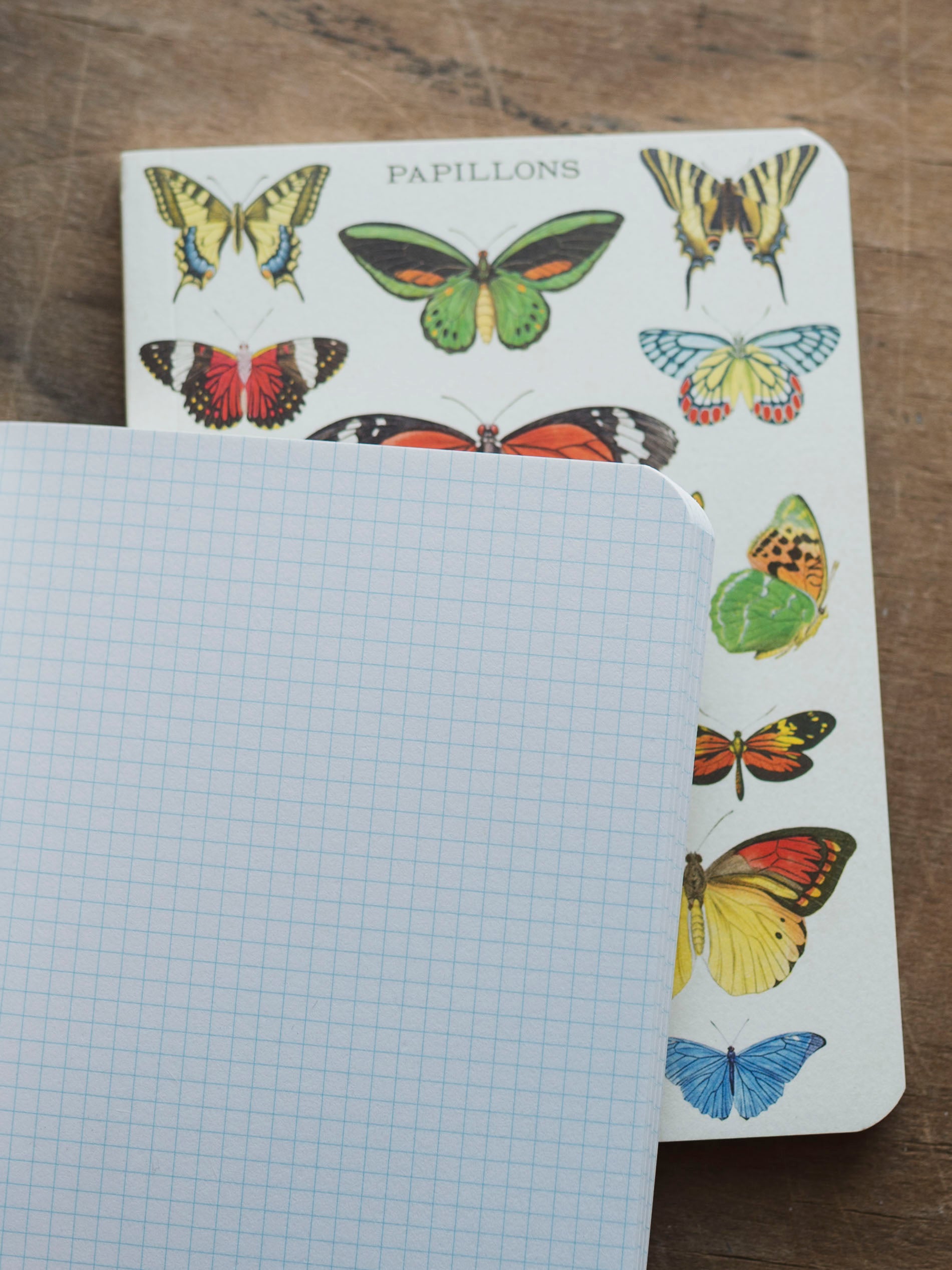 Graph Paper Mini Papillons Notebook, ST0101