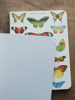Graph Paper Mini Papillons Notebook, ST0101