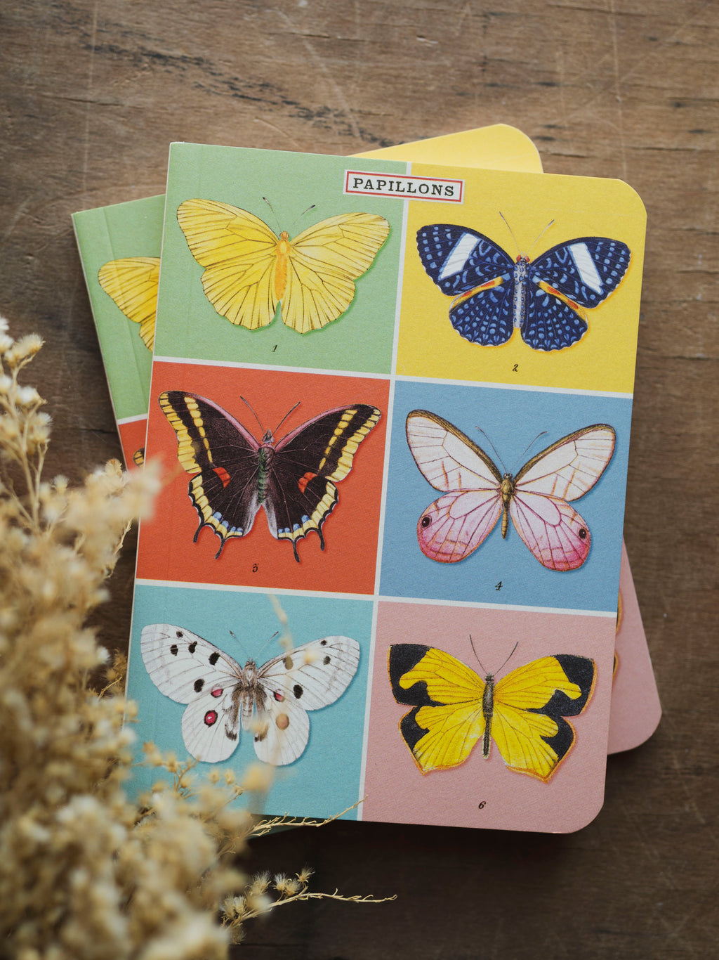 Lined Paper Mini Papillons Notebook, ST0102