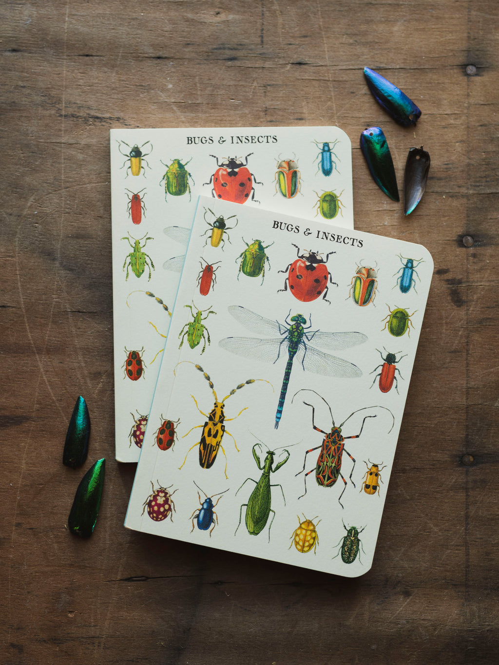 Lined Paper Mini Bugs and Insects Notebook, ST0103
