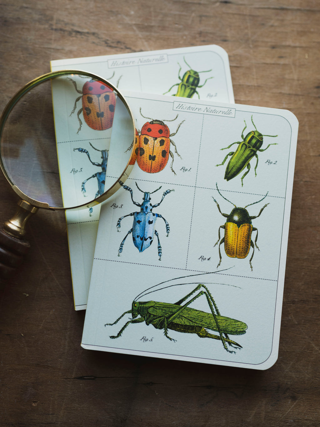 Blank Paper Mini Bugs and Insects Notebook, ST0104