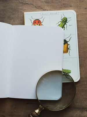 Blank Paper Mini Bugs and Insects Notebook, ST0104