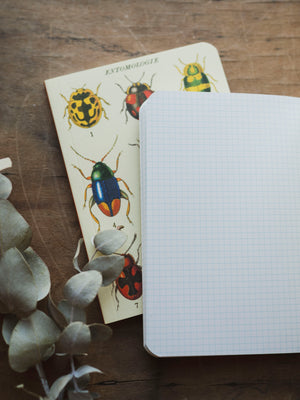 Graph Paper Mini Bugs and Insects Notebook, ST0105