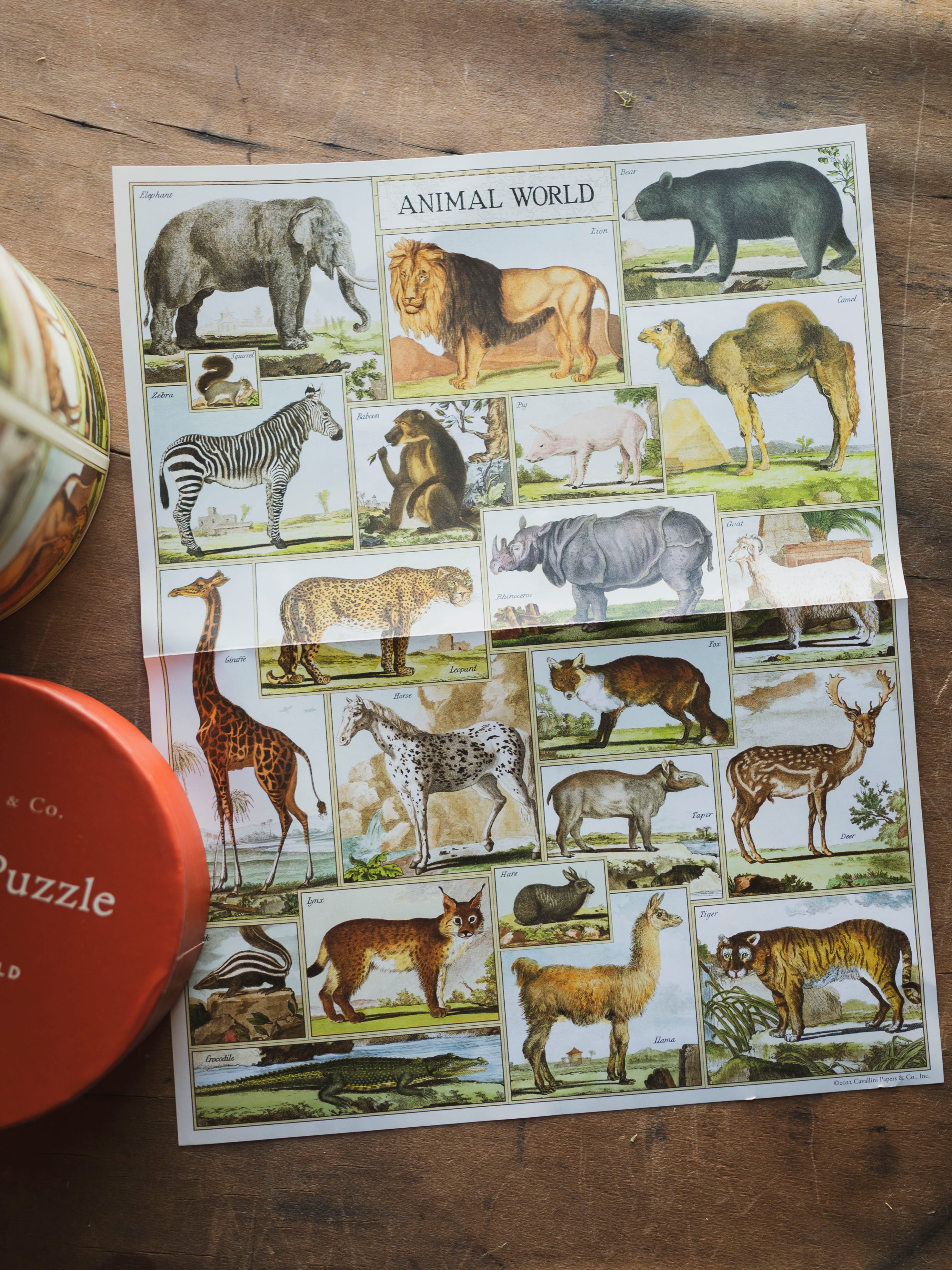 Animal World Puzzle, HD798