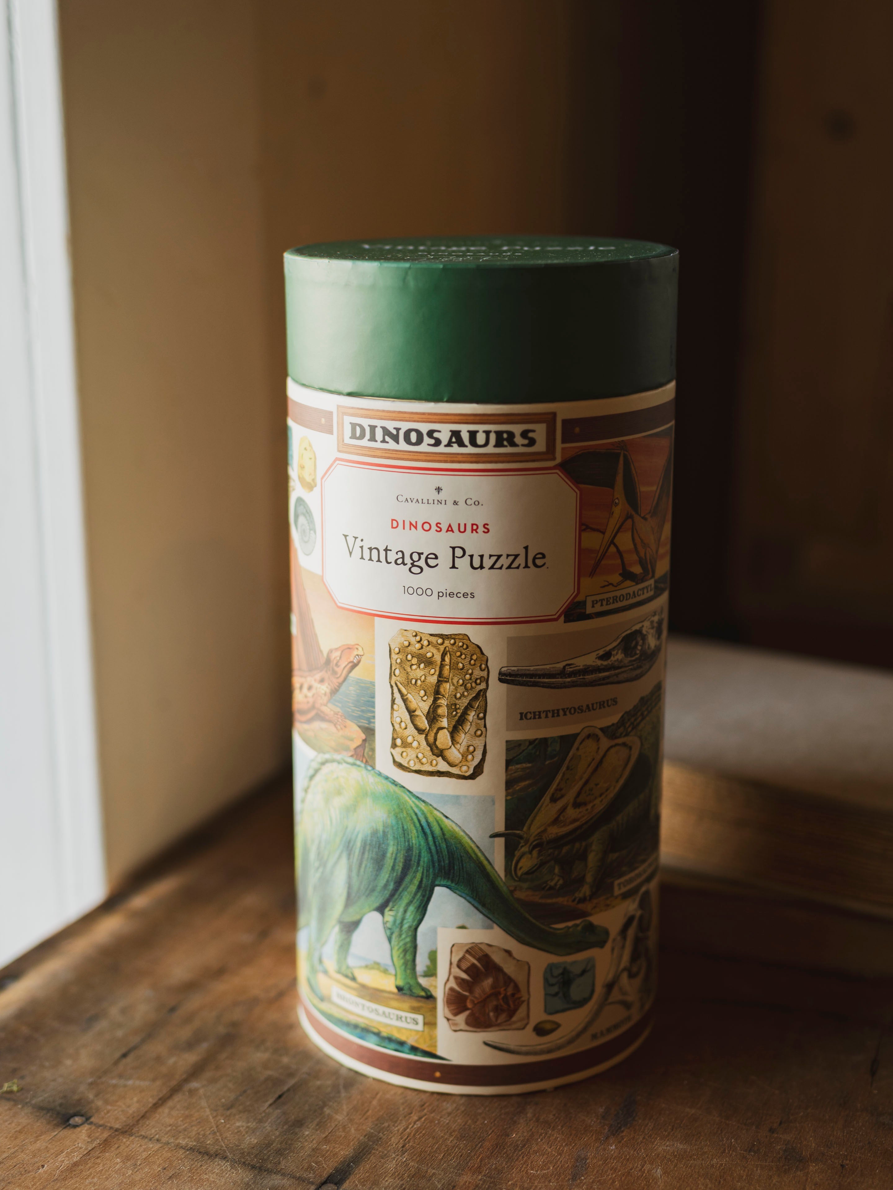 Dinosaur Puzzle, HD264