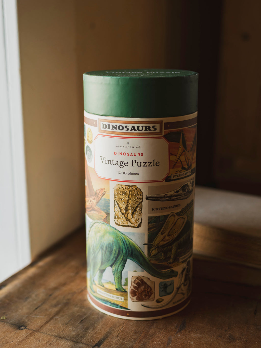 Dinosaur Puzzle, HD264