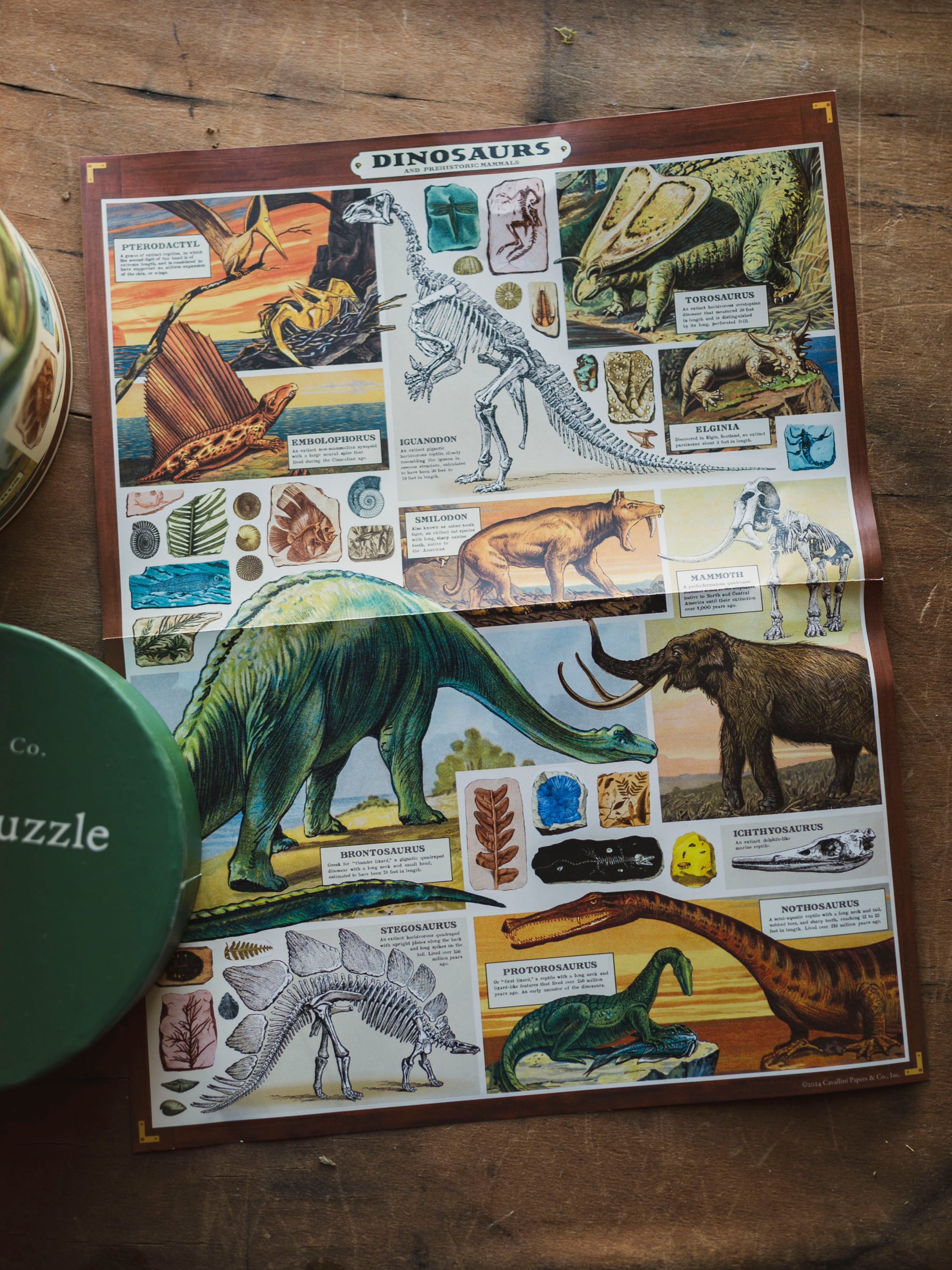 Dinosaur Puzzle, HD264