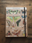 Lined Paper and Elastic Entomology Notebook, ST0110