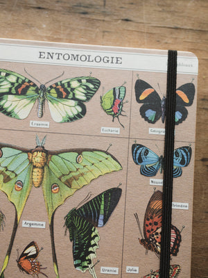 Lined Paper and Elastic Entomology Notebook, ST0110