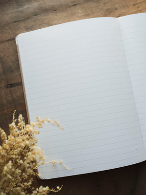 Lined Paper and Elastic Entomology Notebook, ST0110