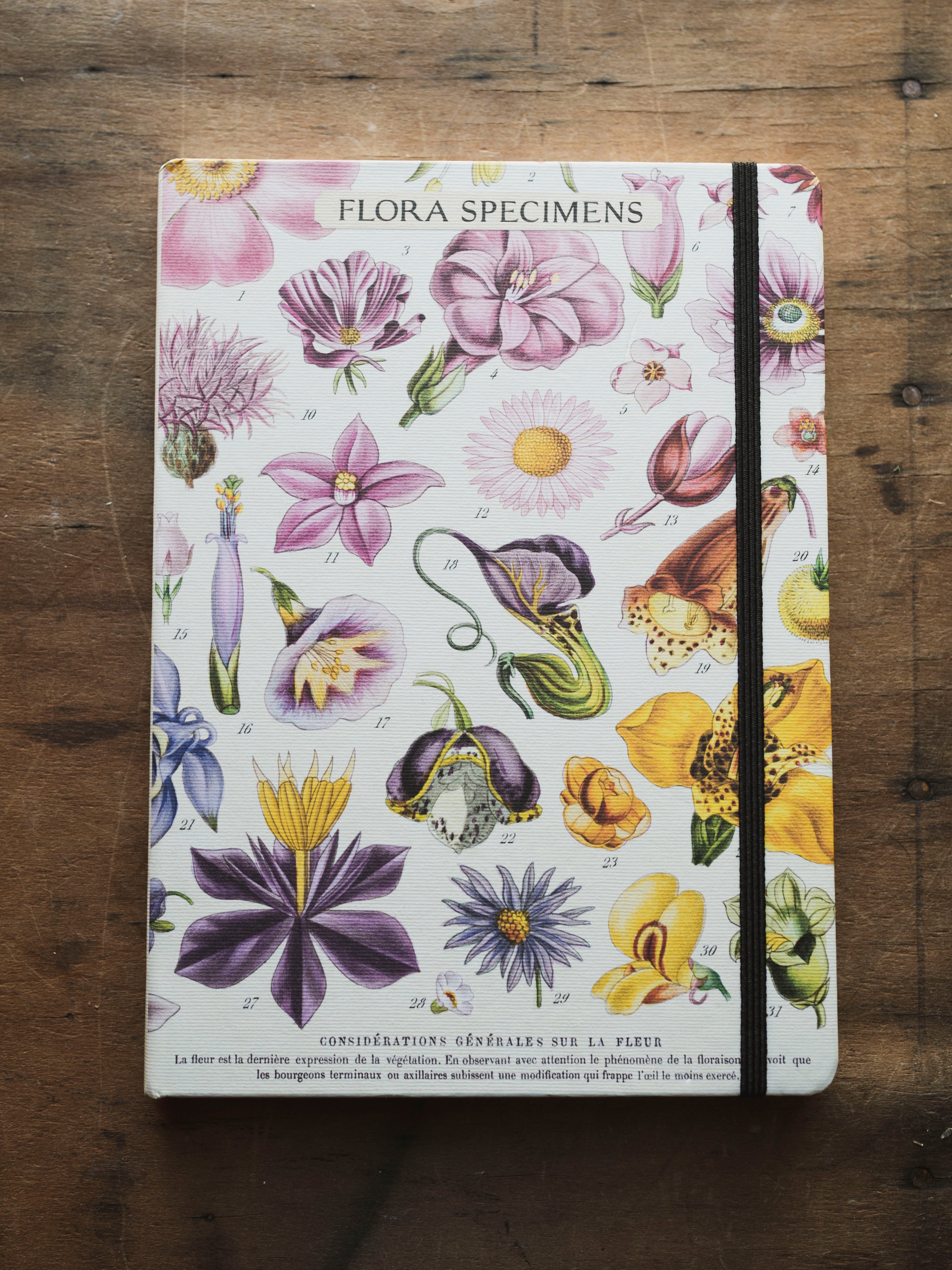 Lined Paper and Elastic Flora Specimens Notebook, ST0112