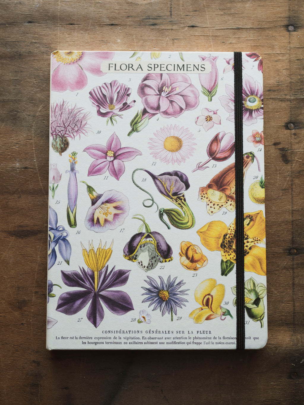 Lined Paper and Elastic Flora Specimens Notebook, ST0112