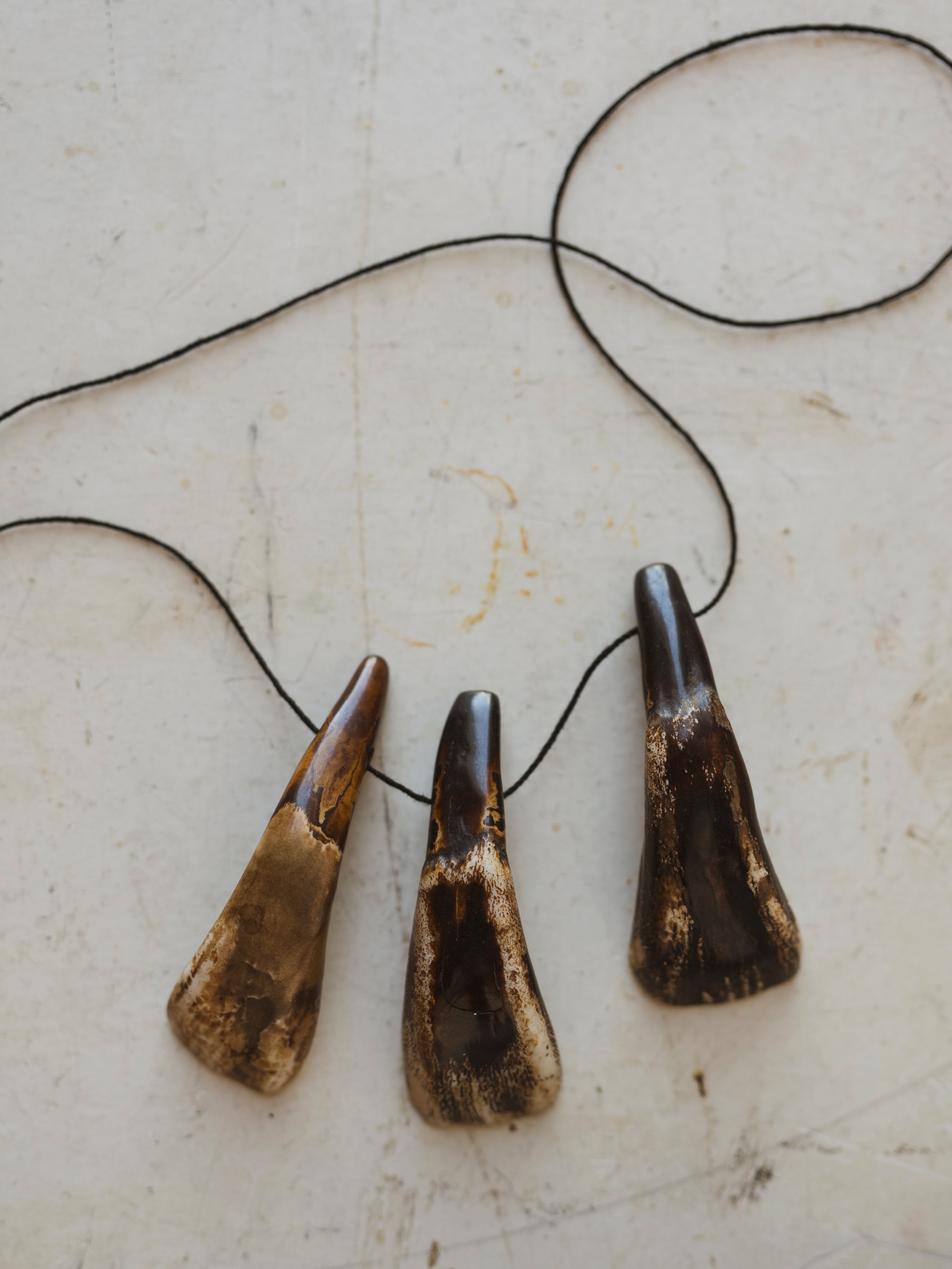2" Stained Indian Water Buffalo Tooth Pendant, SB491