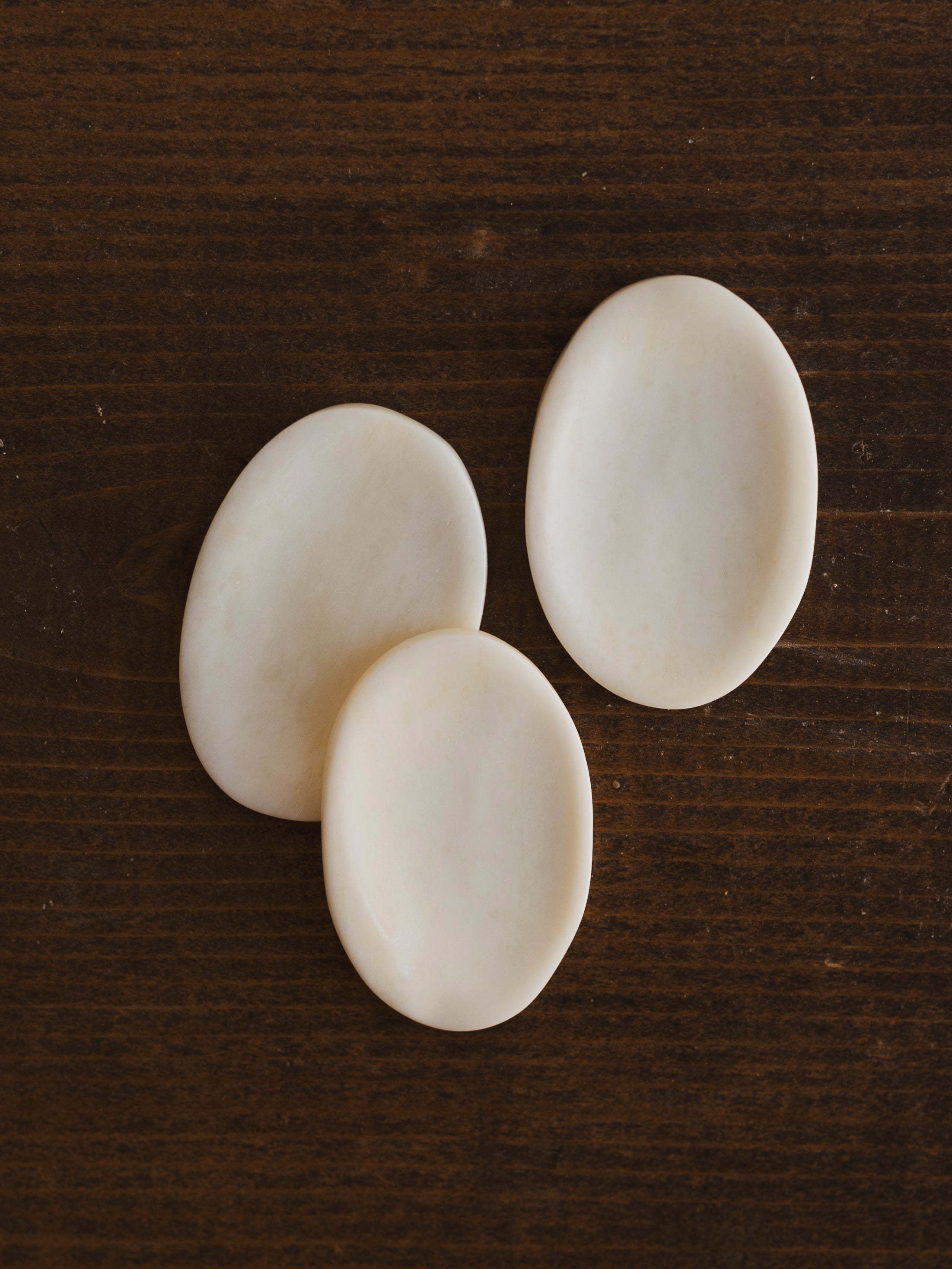 Real Bone Worry Stone, SB777