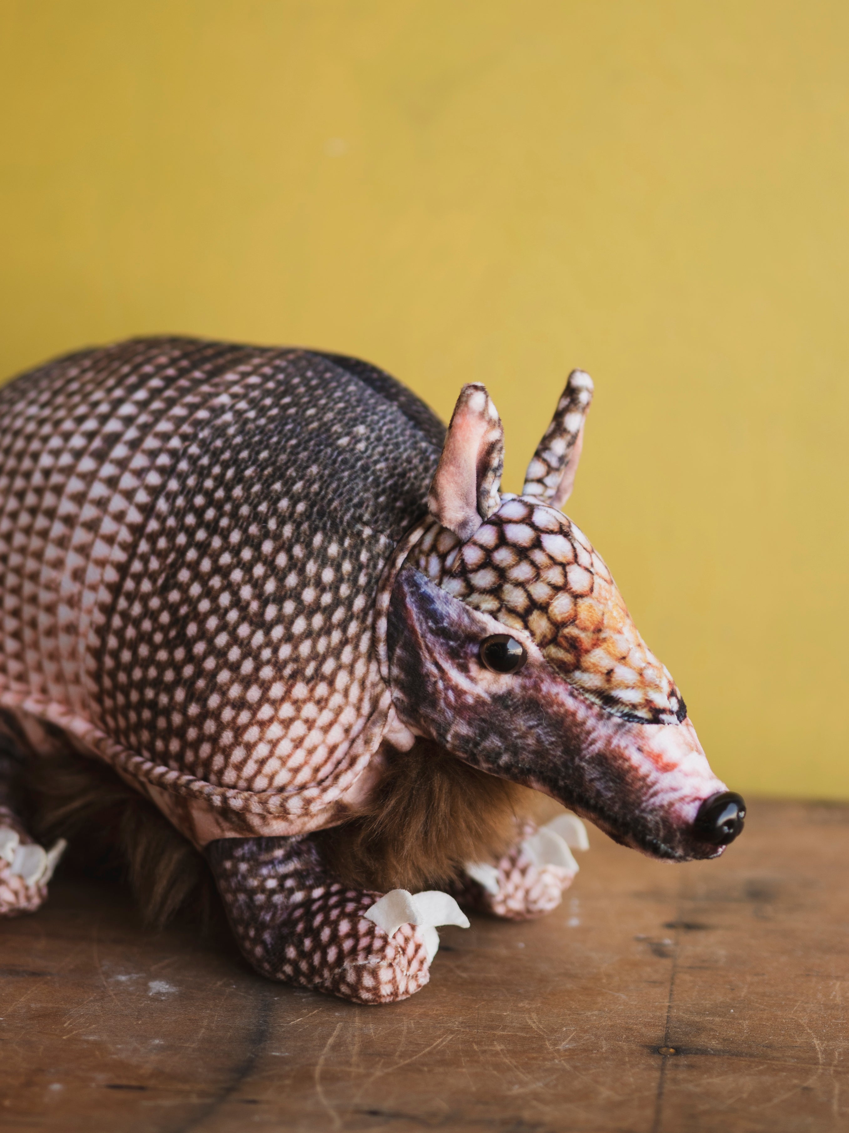 Plush Armadillo, HD1276