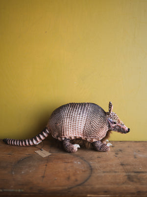 Plush Armadillo, HD1276