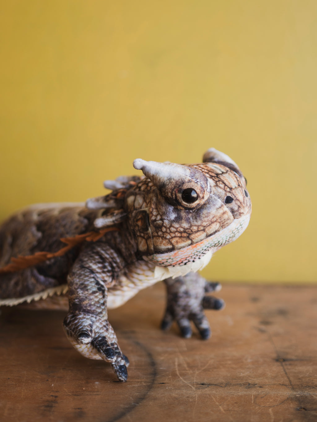 Plush Horned Lizard, HD1277
