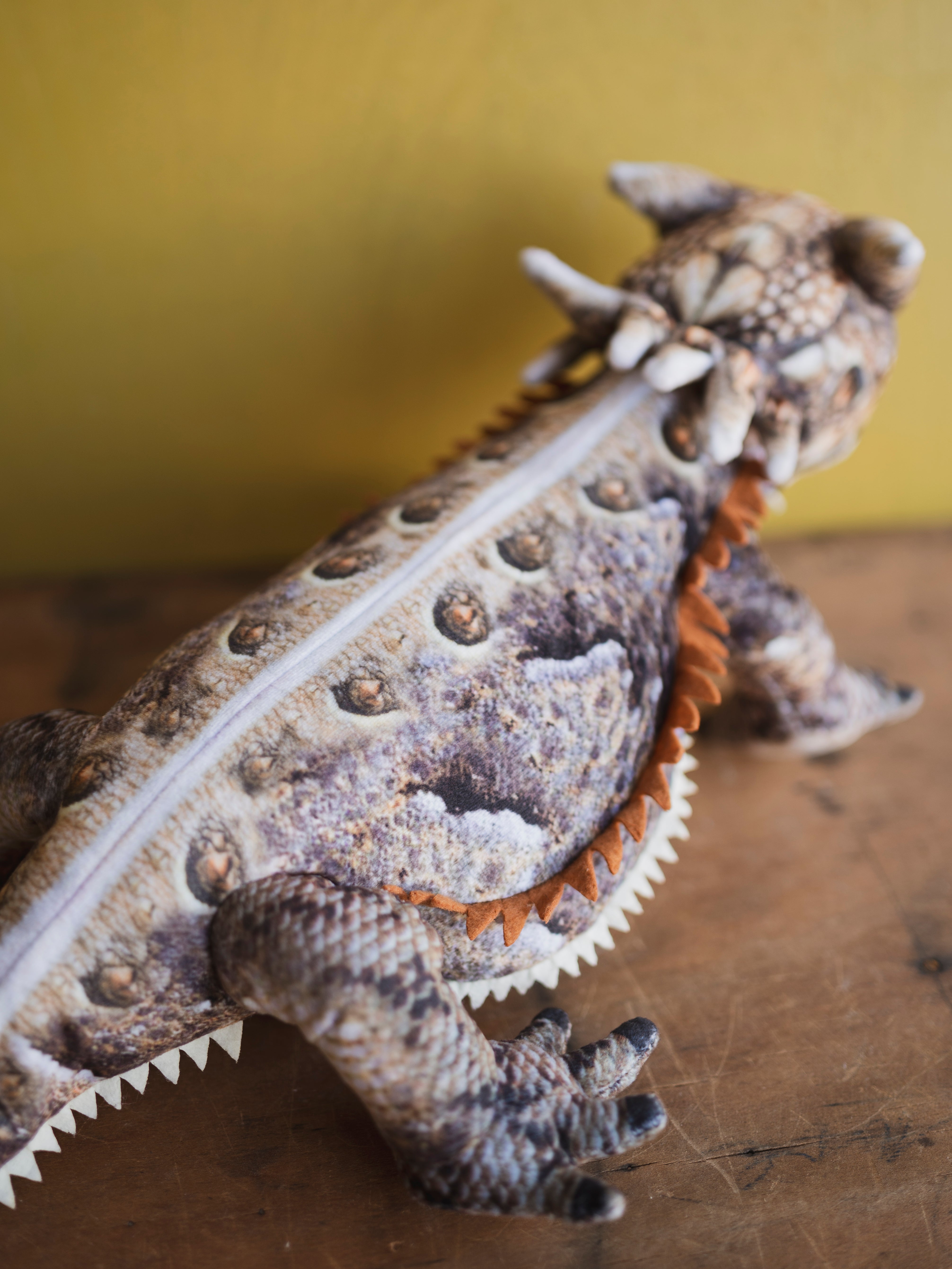 Plush Horned Lizard, HD1277
