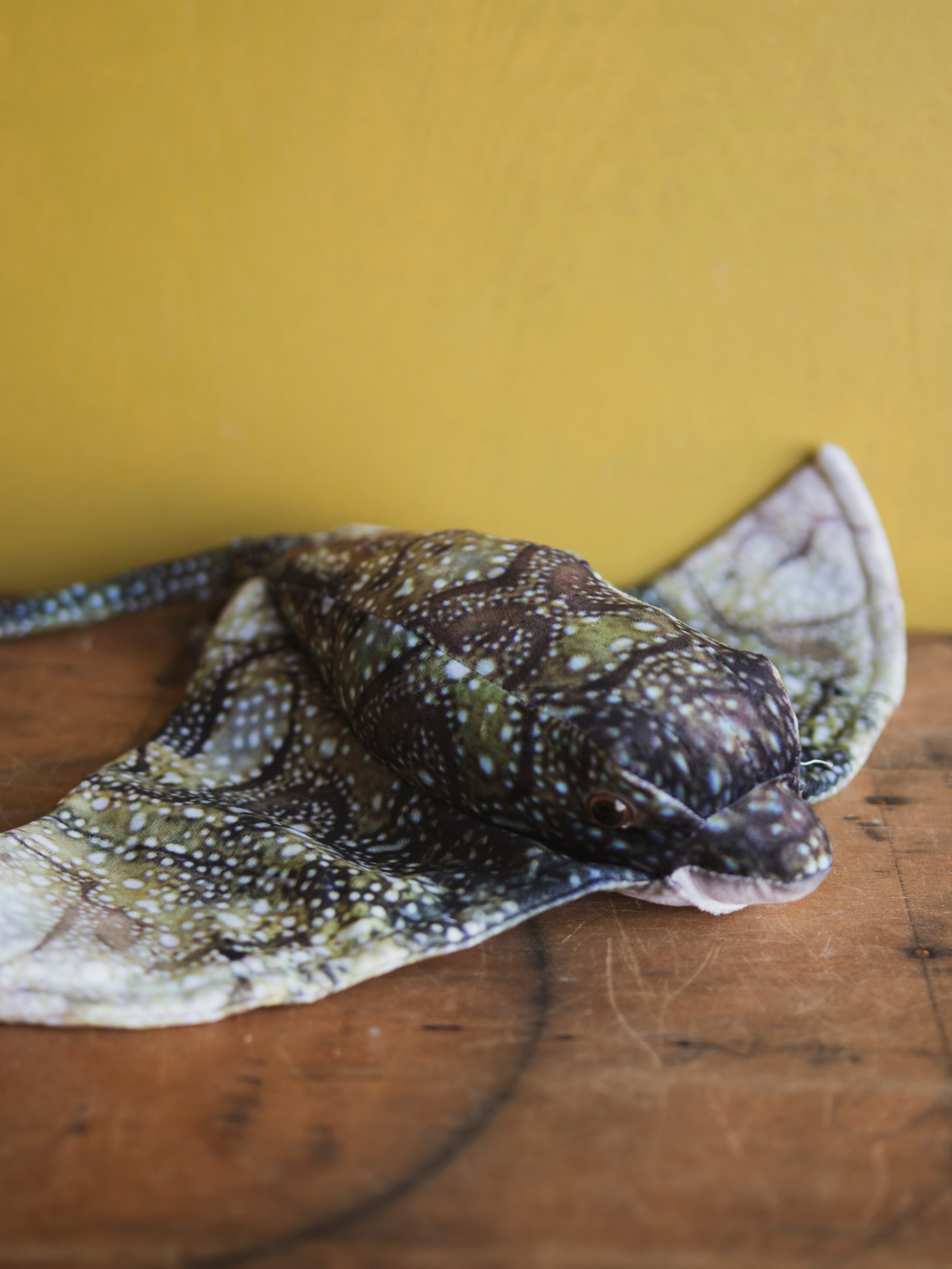 Plush Bat Ray, HD1281