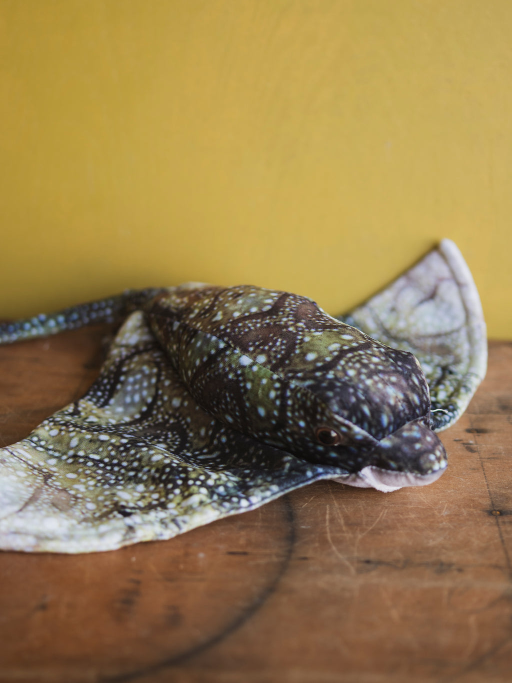 Plush Bat Ray, HD1281