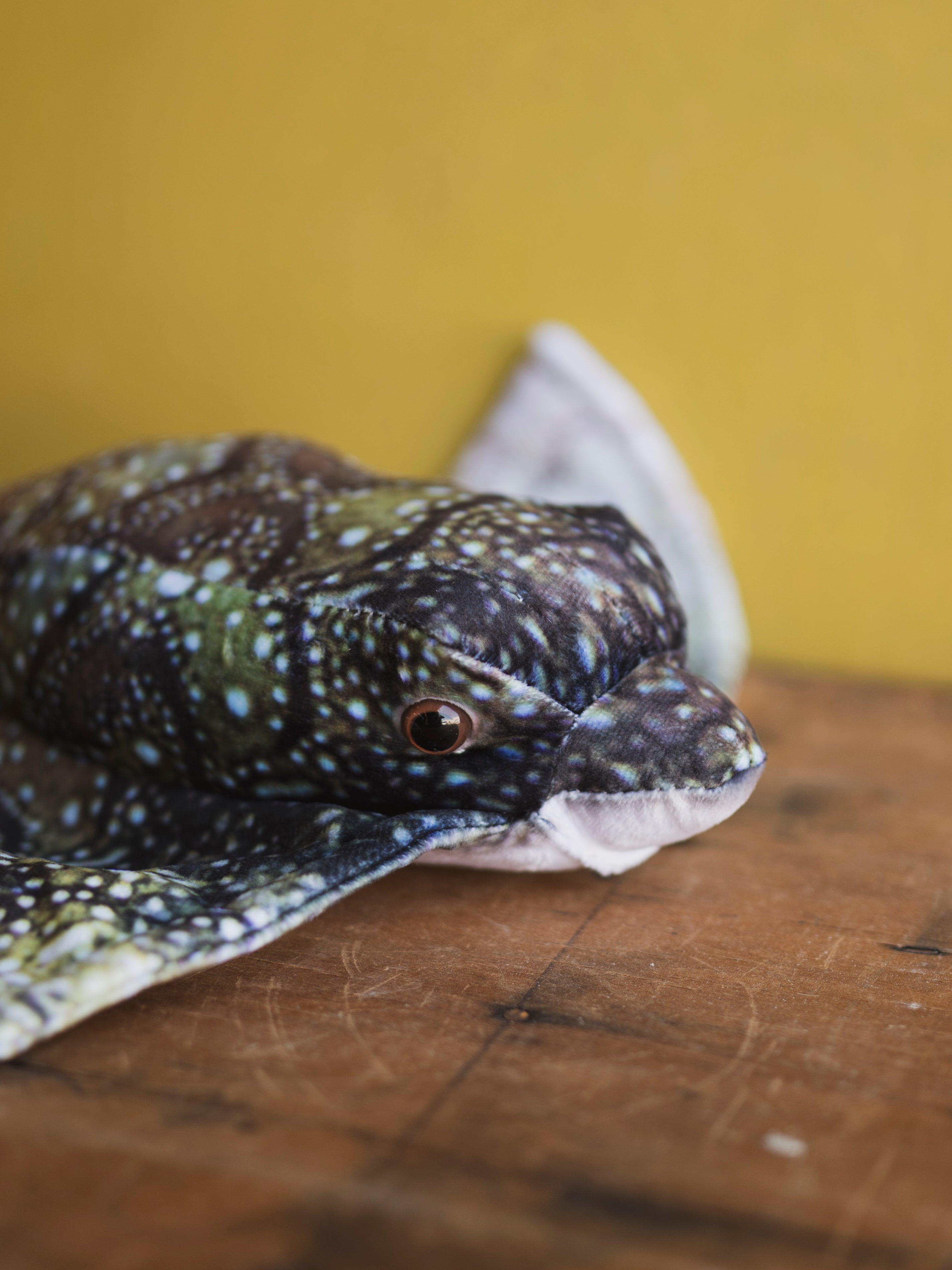 Plush Bat Ray, HD1281